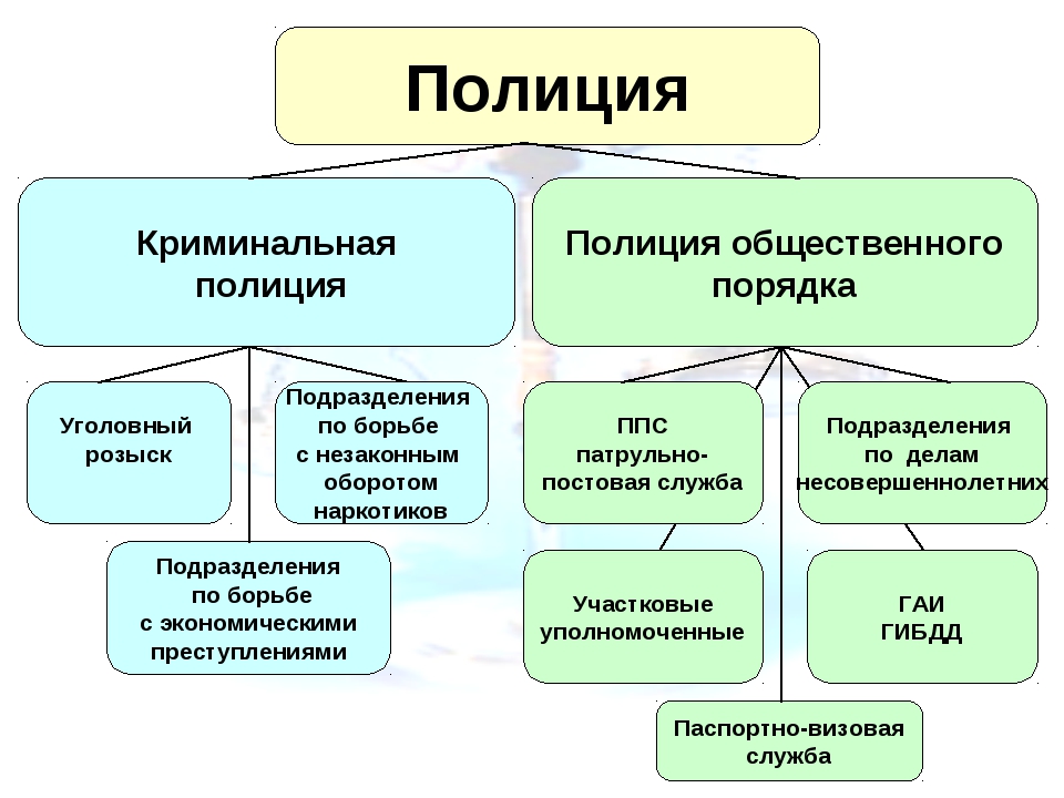 Административная деятельность полиции в схемах